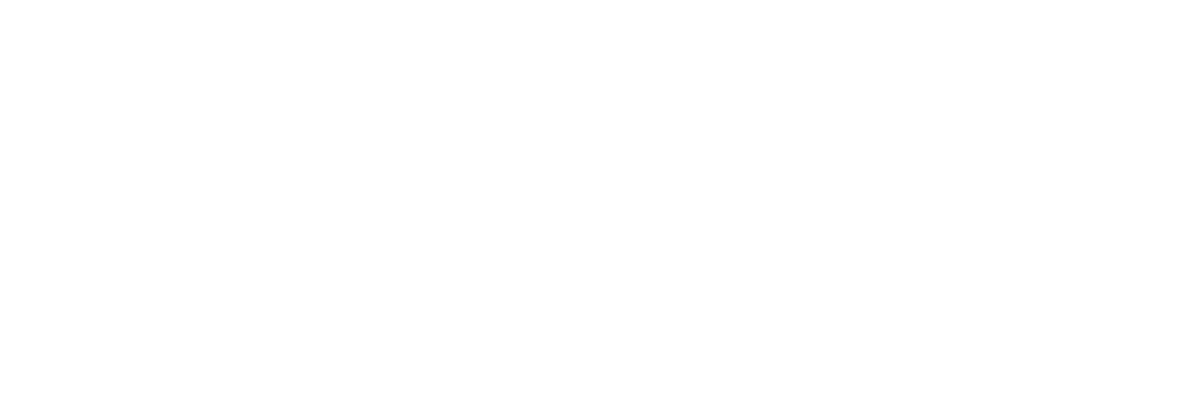 defender